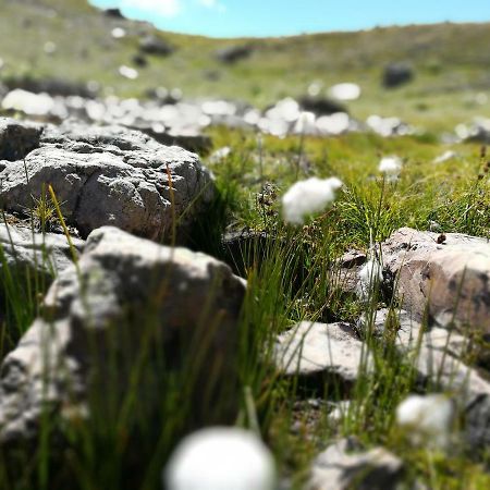 Le Plein Soleil 2 510 Lejlighed Orcières Eksteriør billede